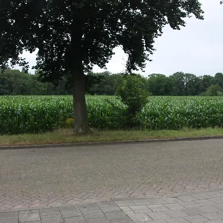 Tisoke Bed and Breakfast