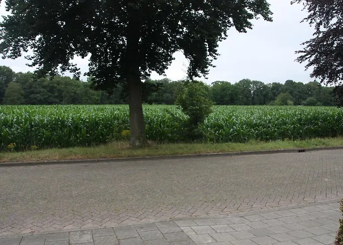 Tisoke Bed and Breakfast